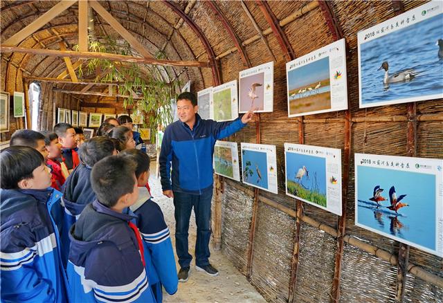 北戴河青少年鸟类科普实践教育基地 生态知识的殿堂