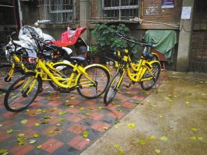 共享单车该不该进小区引争议 到底该放哪?_大