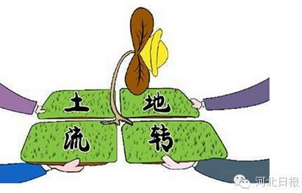 ����ӱ�ũ���Ĵ��ذ��ĸ�ȷ��