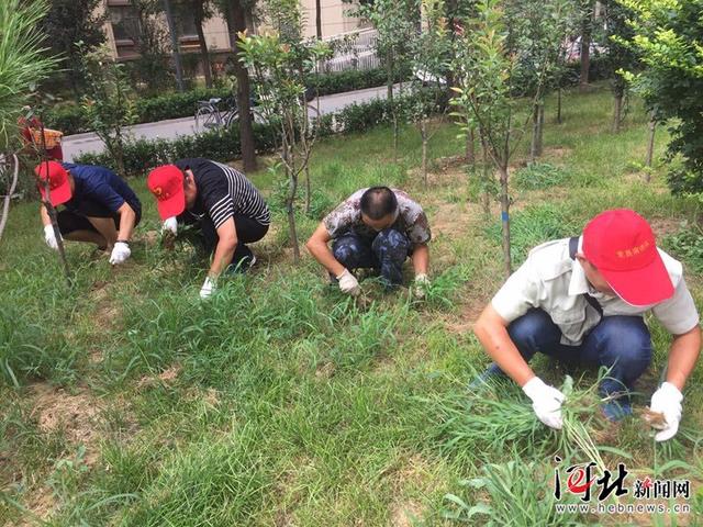 石家庄市:打造微信+双报到志愿服务新模式