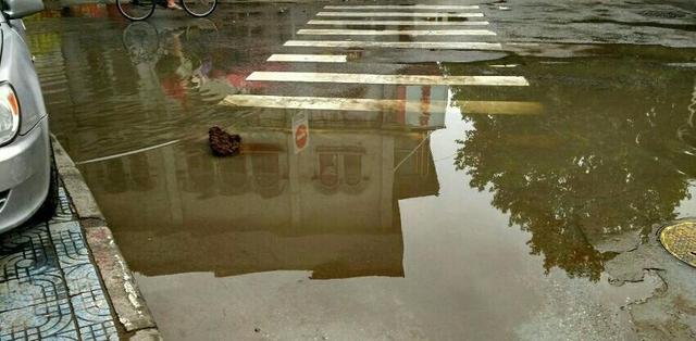 下雨天有人在保定西大街楼顶往下冲狗粪_大燕