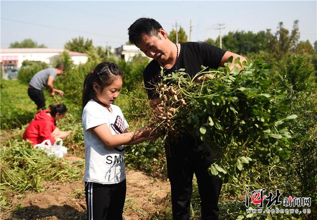 国庆假期:学农耕知识 享丰收之乐