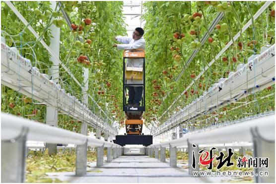 :大力发展现代农业园 推动农业产业提档升级_