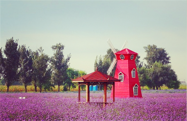 去到影视基地 亲身感受拍摄氛围与美景