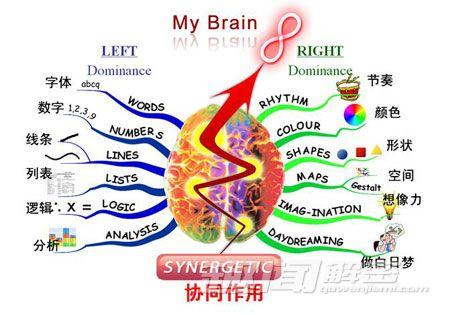 大脑产生记忆的区域