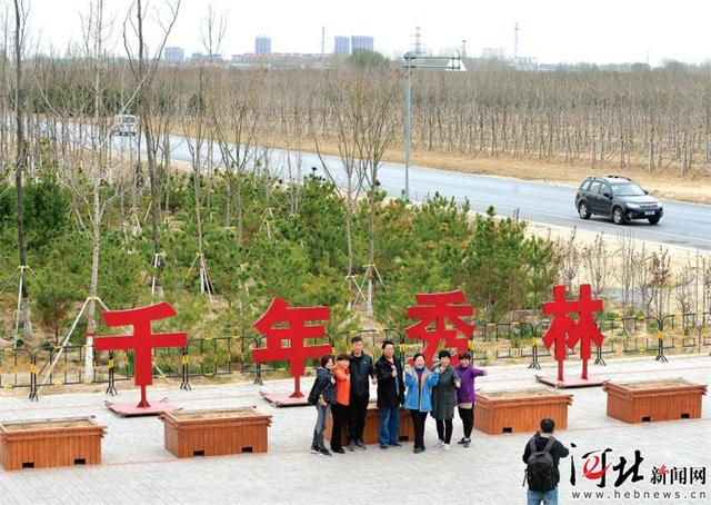 雄安新区:千年秀林春意浓
