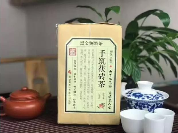 四季皆宜养生的茶,安化黑茶_大燕网河北站