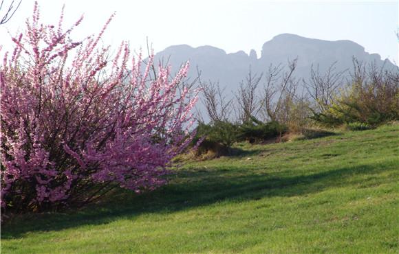 又是一年春好处,学习中医春季养生之道尽在此