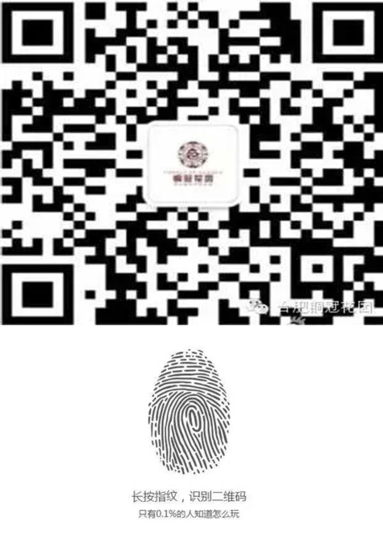 <em>合肥</em>铜冠花园:这是一场童年的重逢 也是一场告