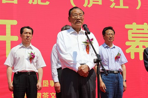 华南城杯安徽第八届国际茶产业博览会开幕_