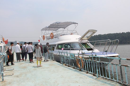 新歌声》全国城市海选合肥赛区总决赛落户风景旖旎的岱山湖旅游度假区