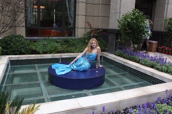 中海滨湖央墅:5月25日港式别墅样板房华丽绽放