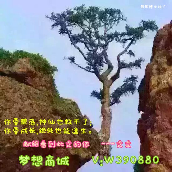 做微商如何做到月入十万?梦想领航商城是什么