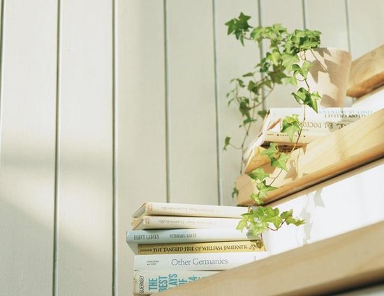 文一泊心湾: 在主城央邂逅更多美好可能_频道