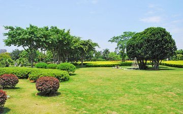 4.20丨天津进一步整顿房地产市场 合肥西南片