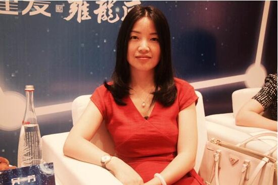 龙腾大湖纳百川合肥龙川路区域板块高峰论坛