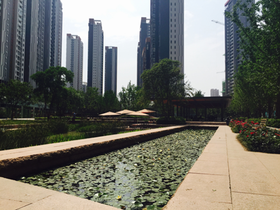 炒股不如买融科城 公园里的慢生活_频道-合肥