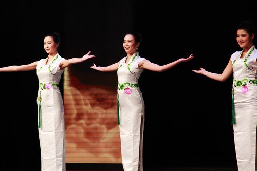 大华国际港:安徽第七届青年模特大赛总决赛落