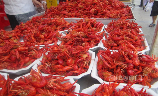 文一名门南郡:首届德式啤酒龙虾节_频道-合肥