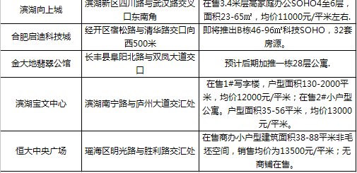 合肥40年产权公寓利好来了!政策支持、鼓励购