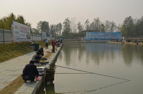 大华杯 2013年秋季垂钓比赛乐游金秋_频道-合肥