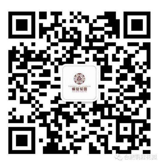 <em>合肥</em>铜冠花园:六一节 好爸爸送宝贝一个开心房