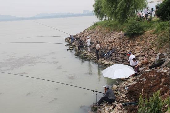 【巢湖碧桂园】800里巢湖畔垂钓赏景 渔乐无限