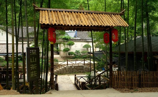 特色小镇 地产化 被叫停 产业立镇考验资本现金