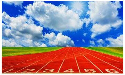 冠力塑胶跑道参展福州体博会,创新升级受好评