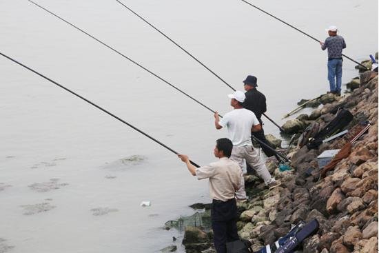 【巢湖碧桂园】800里巢湖畔垂钓赏景 渔乐无限