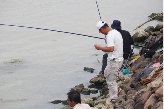 六安 海外     正所谓"姜太公钓鱼——愿者上钩", 钓鱼除了