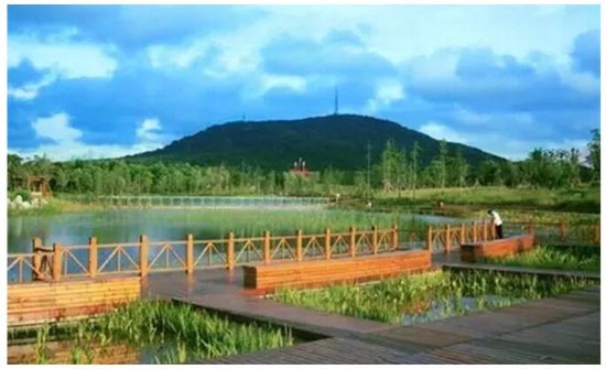 花山造梦师:提笔天地 就是一个梦想的开始_频