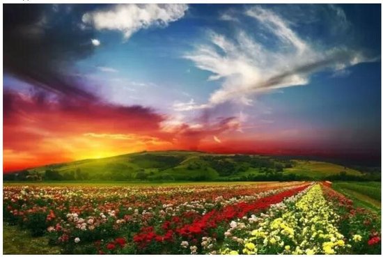 花山造梦师:提笔天地 就是一个梦想的开始_频