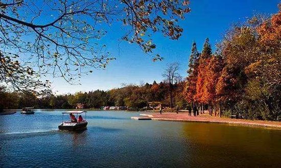 安徽十三五旅游:4A级景区免费wifi全覆盖_频道