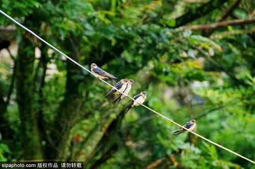 发现徽州另类美 带你游走在安徽塔川