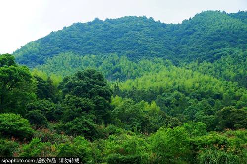 发现徽州另类美 带你游走在安徽塔川