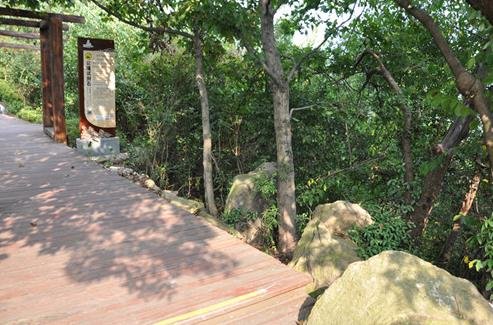 寻觅万佛湖的恬静时光 然后遥想公瑾当年