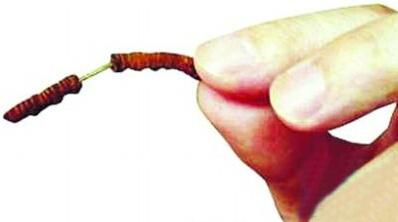 【花椒面】:残忍虐宠何时能停止?_大豫网_腾