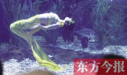 走近郑州海洋馆"人鱼公主" 有时觉得自己是鱼