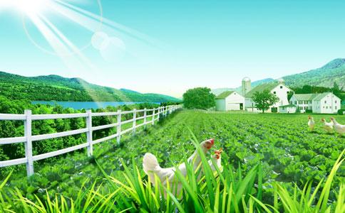 社区农场这样卖有机生鲜