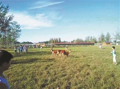 ����һУ�������Խ�����԰ �����յȴ��Ͷ���