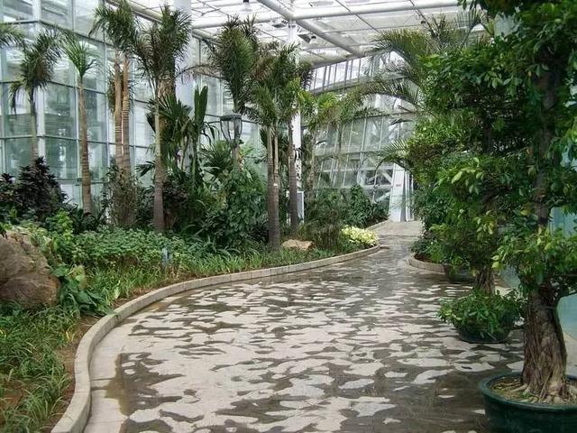 郑州区域内最全的免费地点 元旦假期带着娃走起