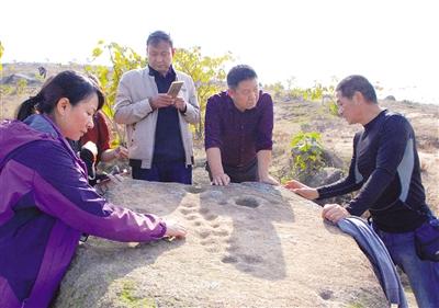 中日韩专家考察南阳岩画 或解开中原文明起源