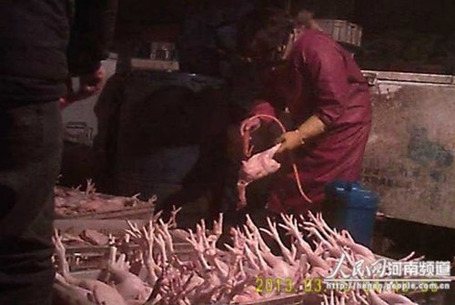 郑州批发市场“注水鸡”泛滥 老板称是公开秘密