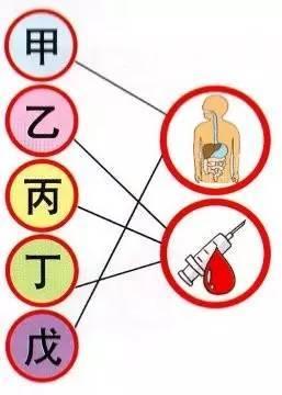 酒精杀病毒是什么原理_酒精过敏是什么症状