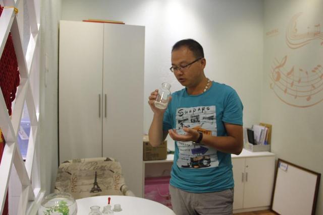 自然硅藻泥产品评测:选购健康优质硅藻泥