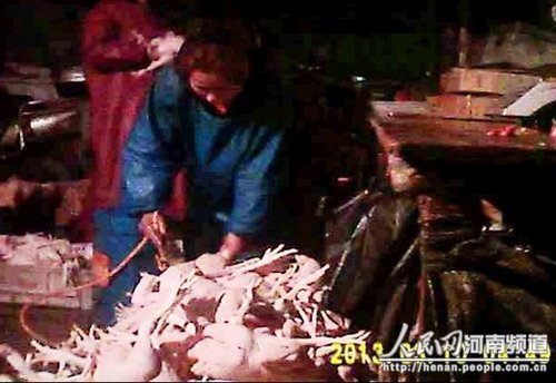 郑州批发市场“注水鸡”泛滥 老板称是公开秘密