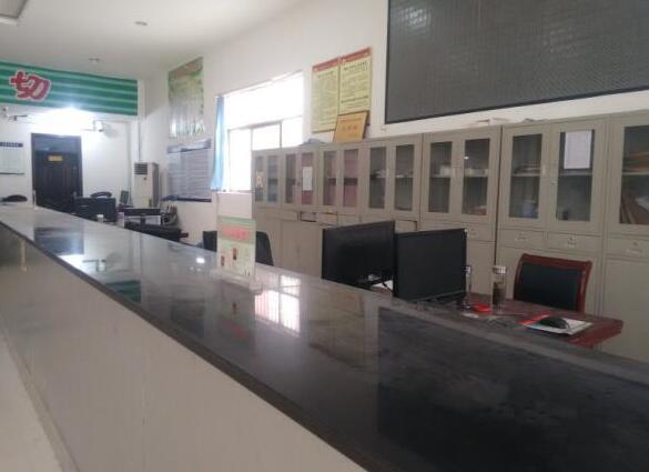 返乡办事高峰来了 乡镇服务大厅却演起了 空城