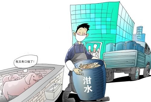 郑州每天产生五六百吨餐厨垃圾 鸡鸭鱼肉喂猪