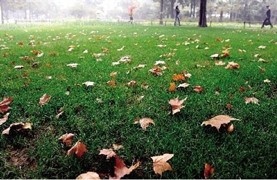 河南秋雨才歇寒风又起 天气寒冷干燥注意保湿